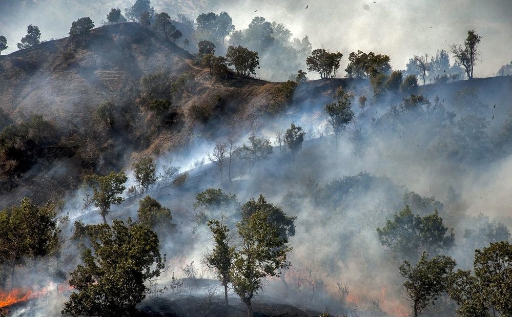 Wildfires in Zagros have resulted in 150 hectares of the natural forest of the region to cease!