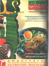جلد ماهنامه شماره28
