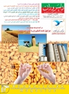 Magazine No.174