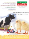 ماهنامه شماره 111